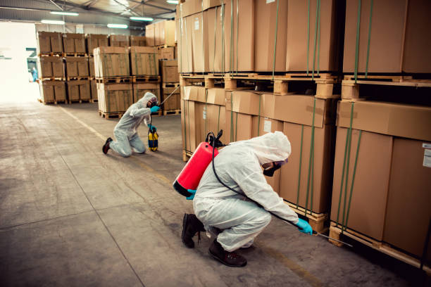 Best Best Pest Control Companies  in Henagar, AL