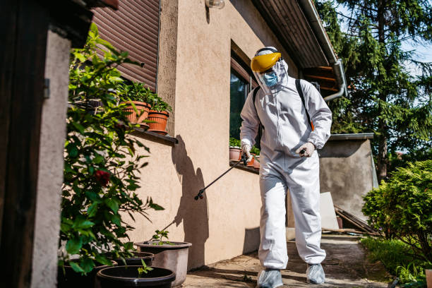 Best Mosquito Control Services  in Henagar, AL