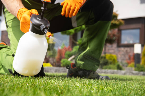 Best Pest Control Near Me  in Henagar, AL