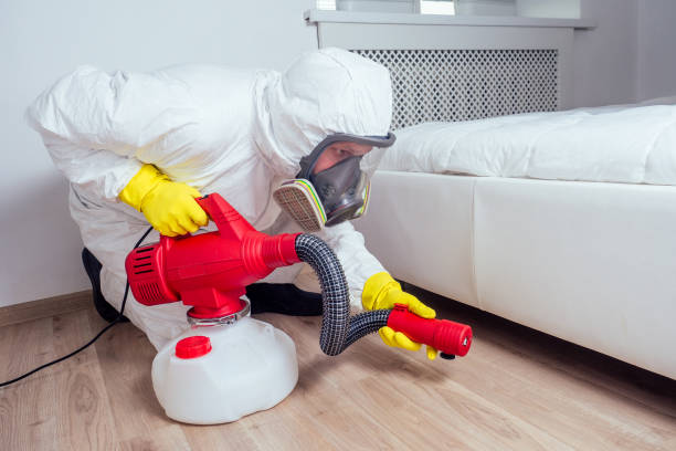 Best Wasp Removal Services  in Henagar, AL