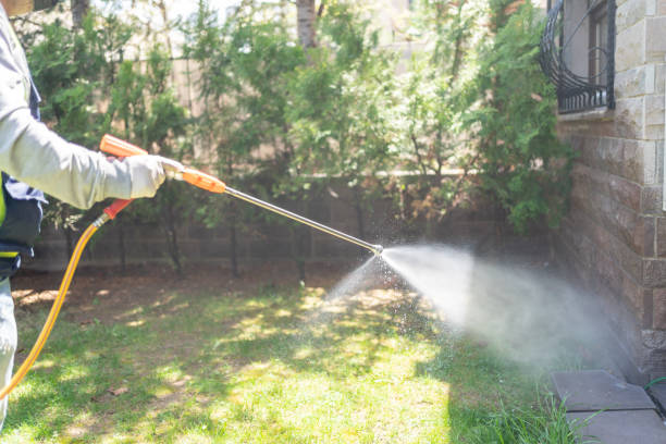 Best Emergency Pest Control  in Henagar, AL