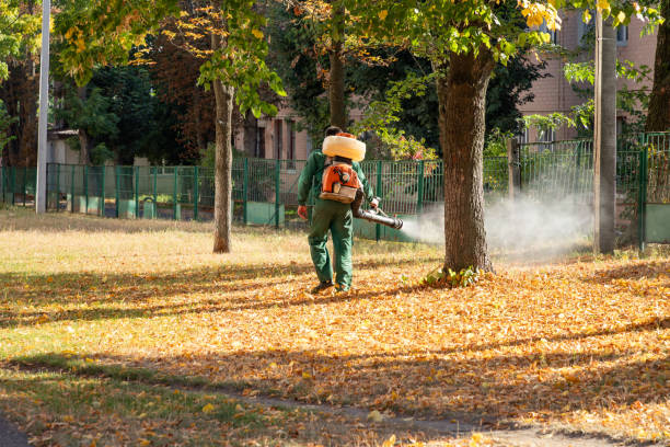 Best Cockroach Control Services  in Henagar, AL