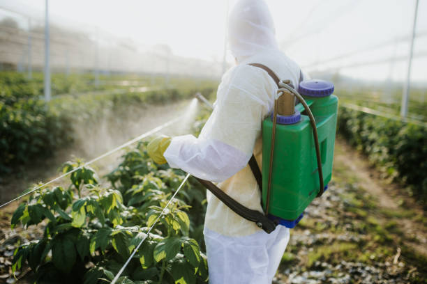Best Bed Bug Extermination  in Henagar, AL
